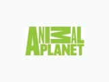 Animal Planet logo