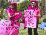 Pink Ribbons Inc