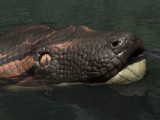 titanoboa