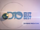 D10