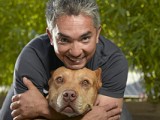 Dog Whisperer with Cesar Millan