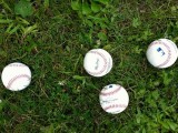 Knuckleball