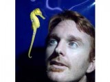 The Seahorse Man