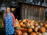 San Francisco Film Society names doc film fund finalists