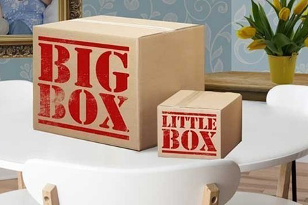 toys that come in big boxes