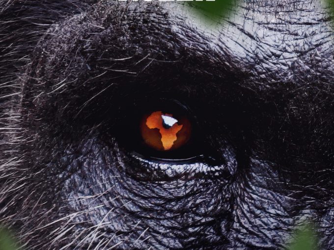 Nat Geo launches new natural history franchise from BBC Studios' NHU